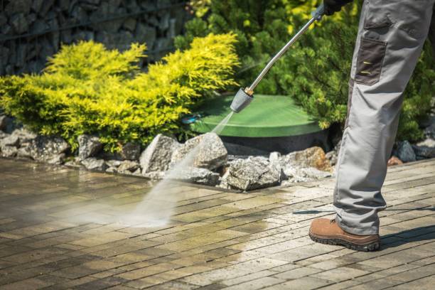 Best Driveway Pressure Washing  in New London, WI